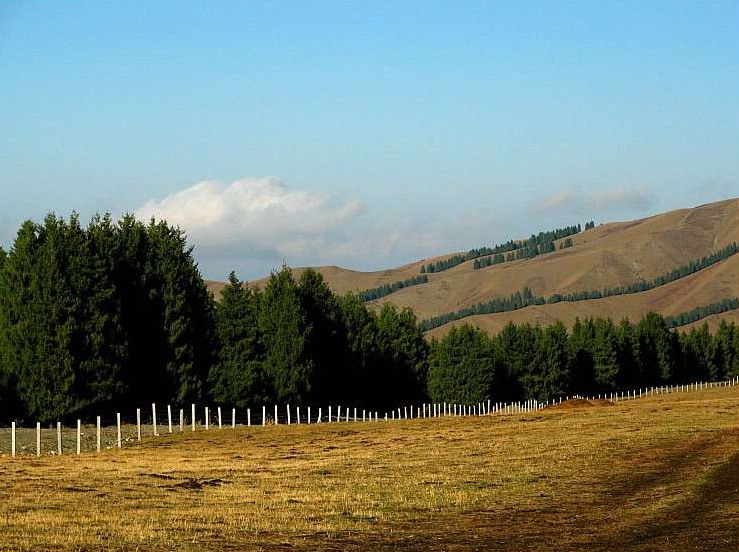 photo of Mountain Nanshan Pasture16