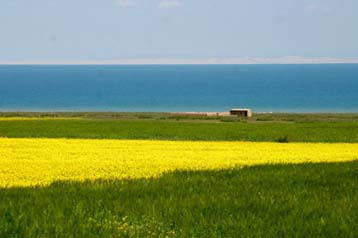 photo of Qinghai Lake9