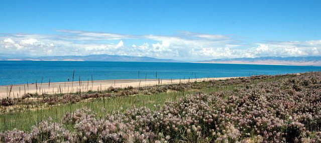 photo of Qinghai Lake15