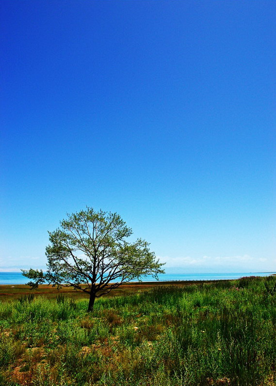 photo of Qinghai Lake16