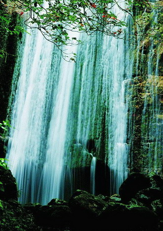 photo of Suoxi Valley Nature Reserve13