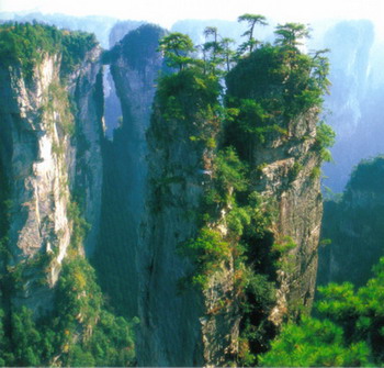 photo of Wulinyuan Scenic Area12