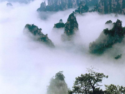 photo of Wulinyuan Scenic Area16