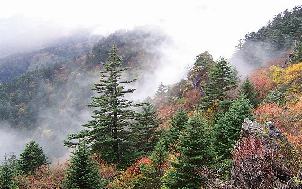 photo of Shennongjia3