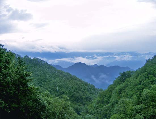 photo of Mountain Baiyun2