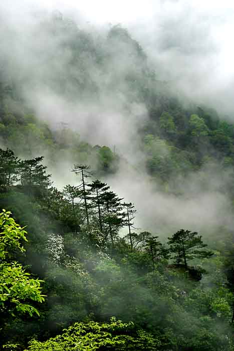 photo of Mountain Baiyun6