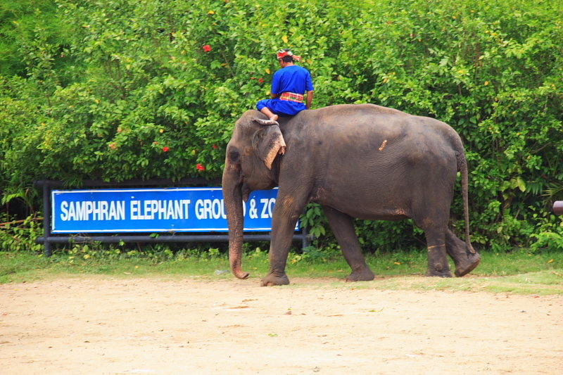 Travel to Thailand