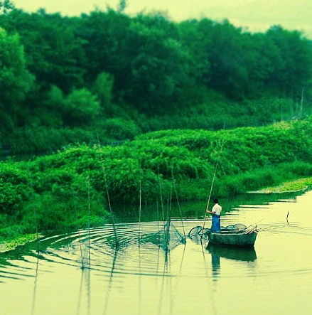 photo of Chaohu Lake Scenery Area15