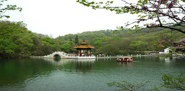 photo of Mountain Langya Scenery Area3