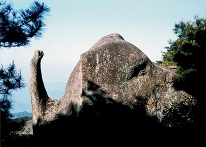 photo of Mountain Tianzhu Scenery Area5