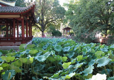 photo of West Lake Park9