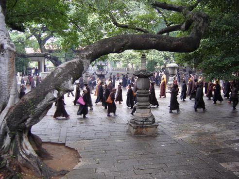 photo of Kaiyuan Temple6