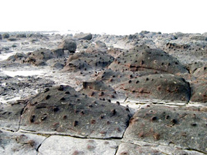 photo of Zhangzhou Coastal Volcano National Geology Park8