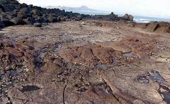 photo of Zhangzhou Coastal Volcano National Geology Park11