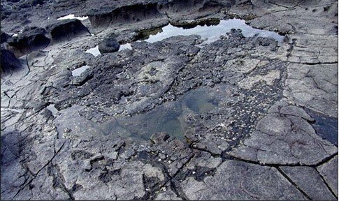 photo of Zhangzhou Coastal Volcano National Geology Park13