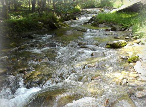 photo of Tulugou State Forest Park