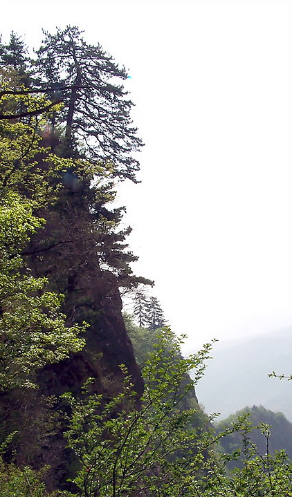 photo of Mountain Kongtong10