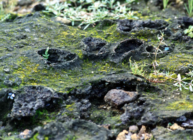 photo of Once Boiling Volcanic Slop