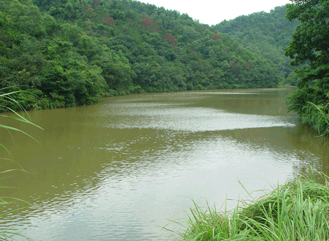 photo of Shenzhen Immortal Lake Botanical Garden13