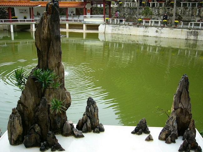 photo of Shenzhen Immortal Lake Botanical Garden15