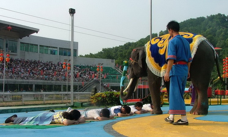 photo of Shenzhen Safari Park4