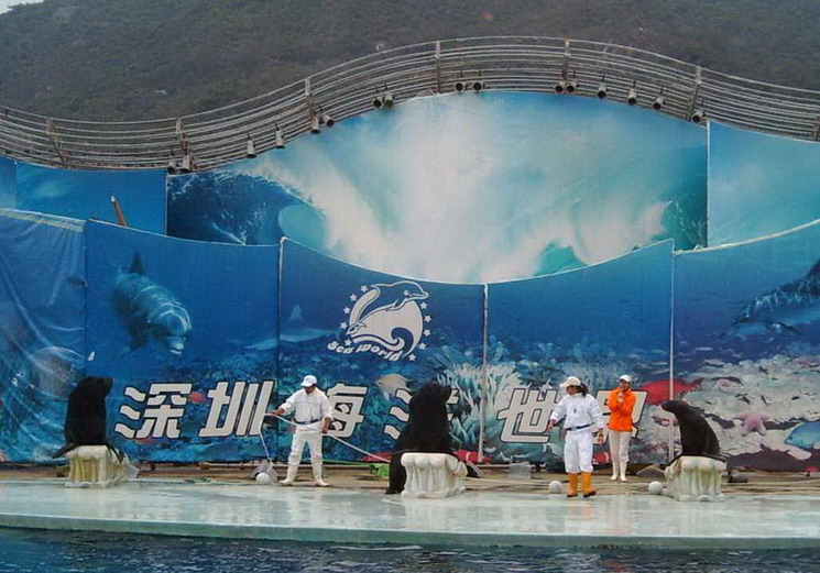 photo of Shenzhen Sea World4