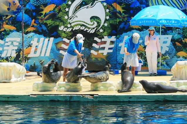 photo of Shenzhen Sea World7