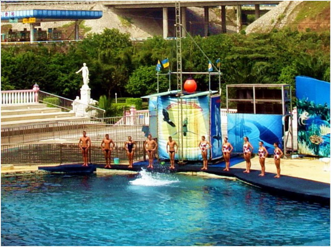 photo of Shenzhen Sea World8