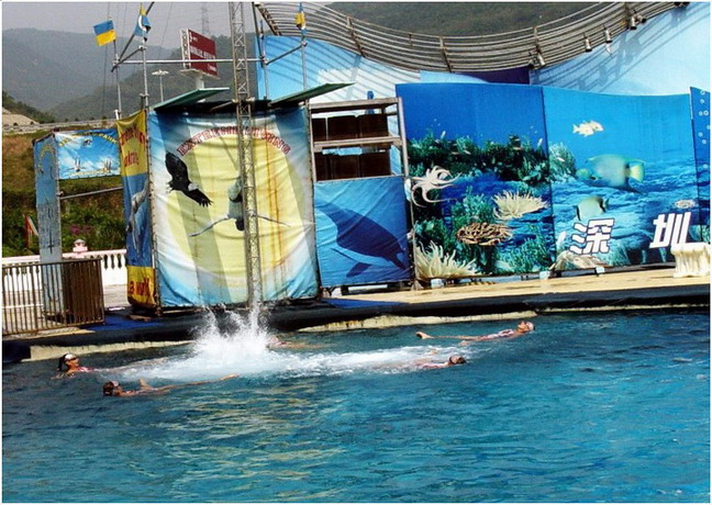 photo of Shenzhen Sea World9