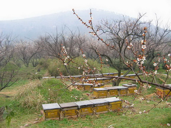 photo of Guiping Mountain Xishan Scenic Area8