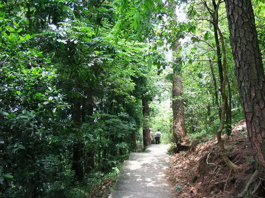 photo of Guiping Mountain Xishan Scenic Area10