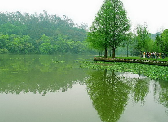 photo of Liangfengjiang National Forest Park3