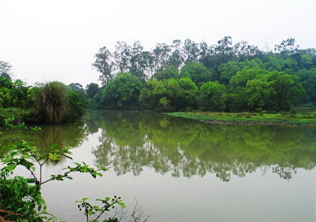 photo of Liangfengjiang National Forest Park9