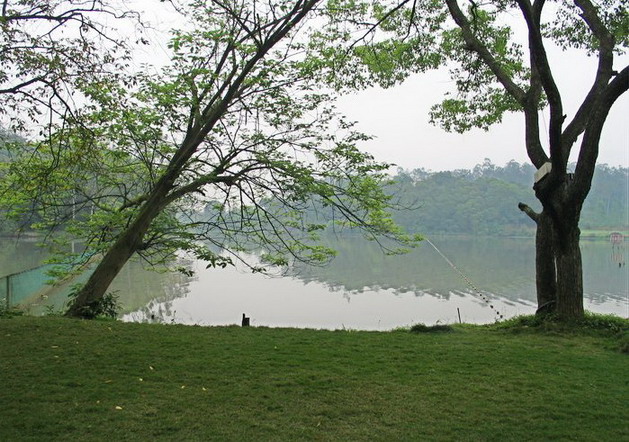 photo of Liangfengjiang National Forest Park10