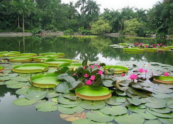 photo of Mountain Qingxiu Scenic Area4