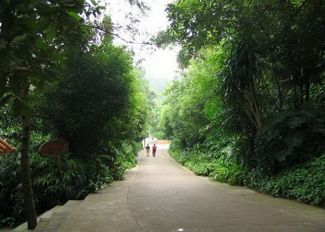 photo of Mountain Qingxiu Scenic Area9