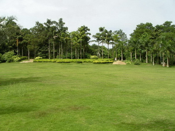 photo of Mountain Qingxiu Scenic Area12