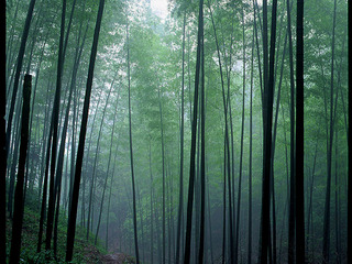 photo of Chishui Scenic Area14