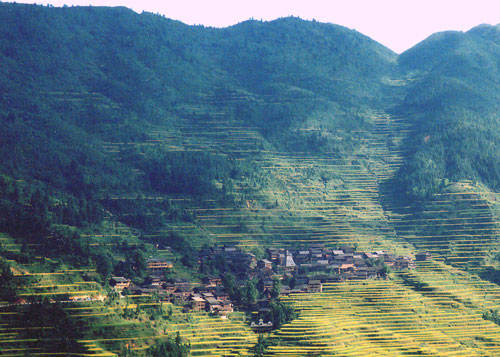 photo of Liping Dong Village Scenic Area1