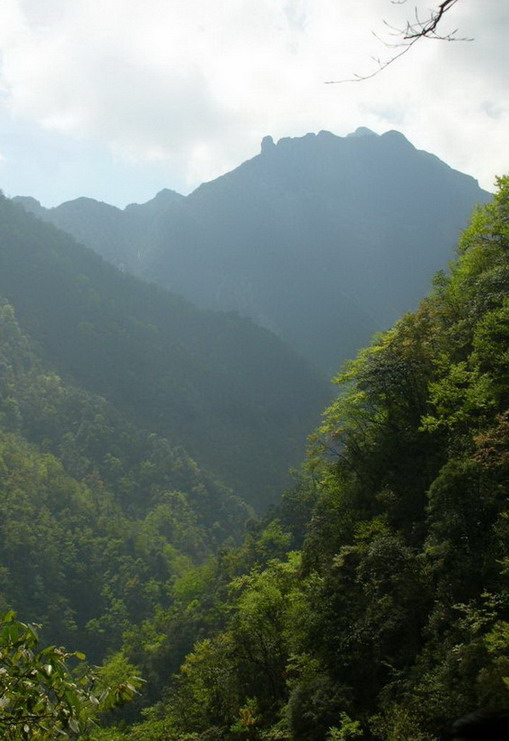 photo of Mountain Fanjing2