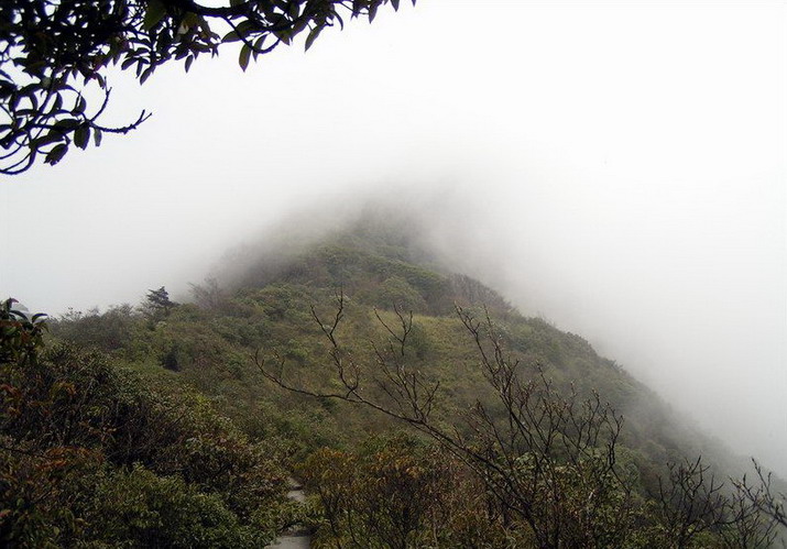 photo of Mountain Fanjing12