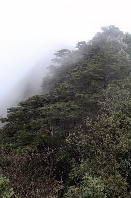 photo of Mountain Fanjing13