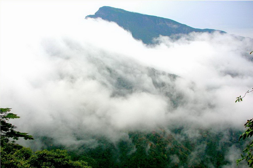 photo of Mountain Fanjing14