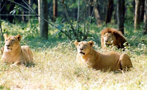 photo of Dongshan Lake Tropical Safari Park16