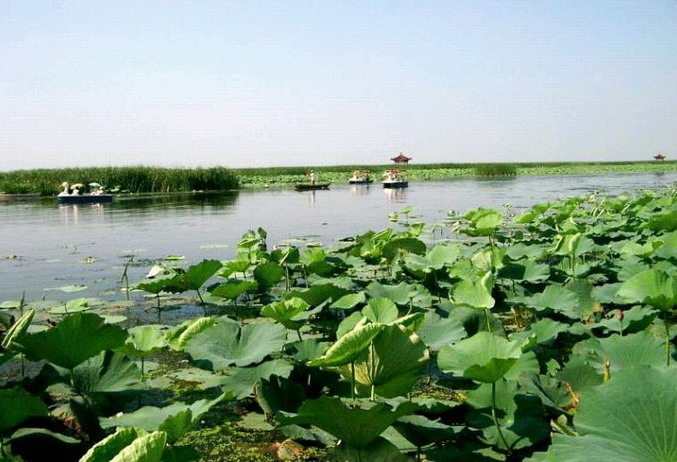 photo of Baiyangdian Lake8