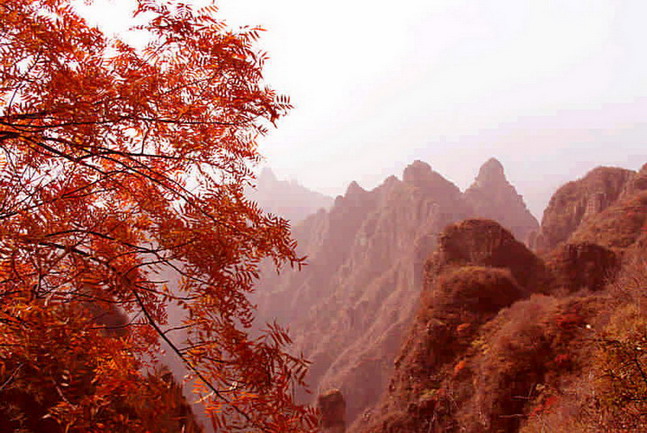 photo of Mountain Langya1
