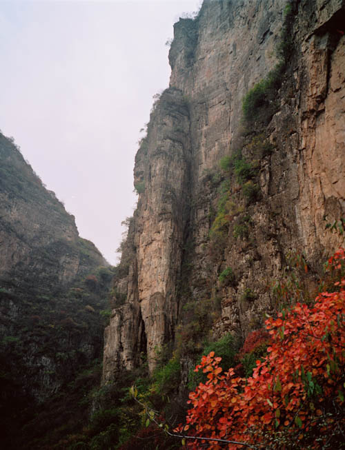 photo of Mountain Langya8
