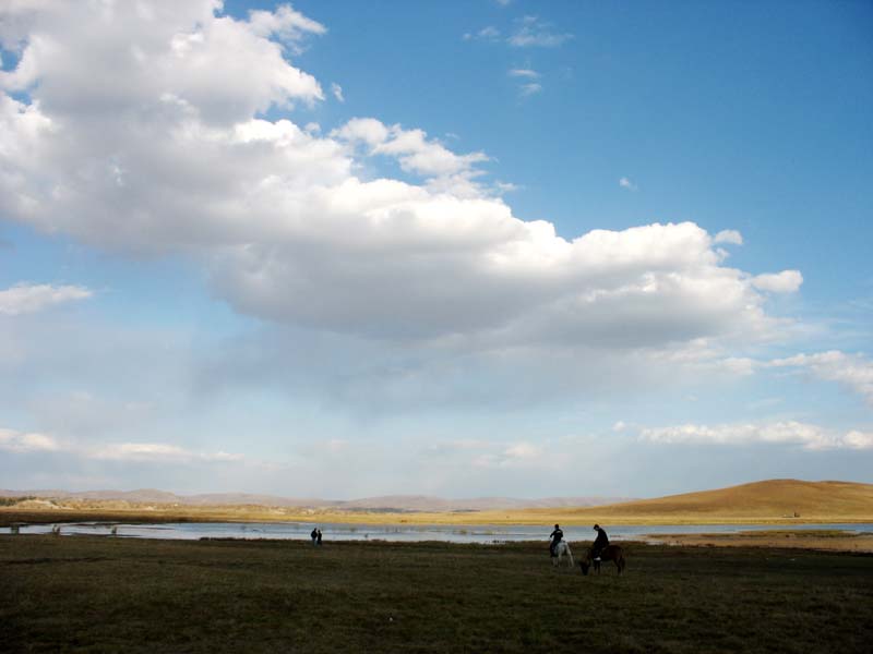 photo of Bashang Grassland1