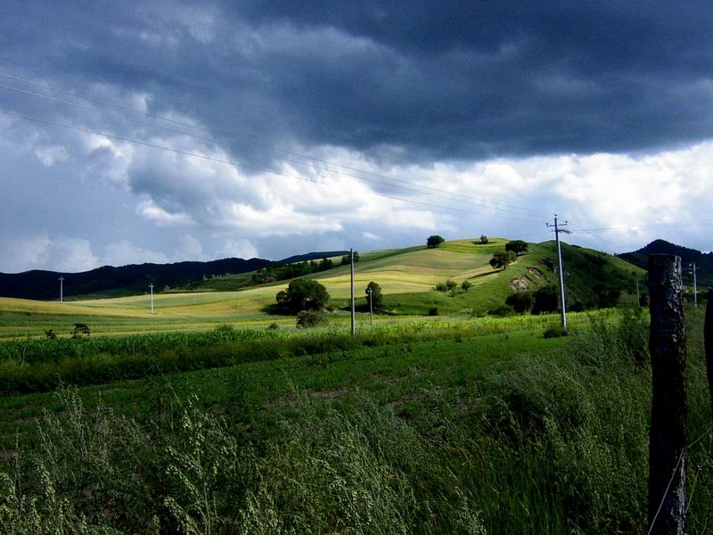 photo of Bashang Grassland2