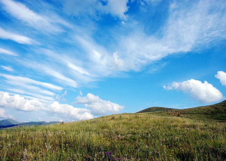 photo of Bashang Grassland6